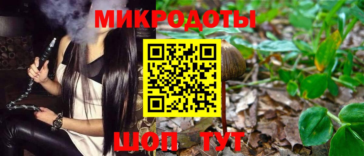 Псилоцибиновые грибы Psilocybine cubensis Реутов
